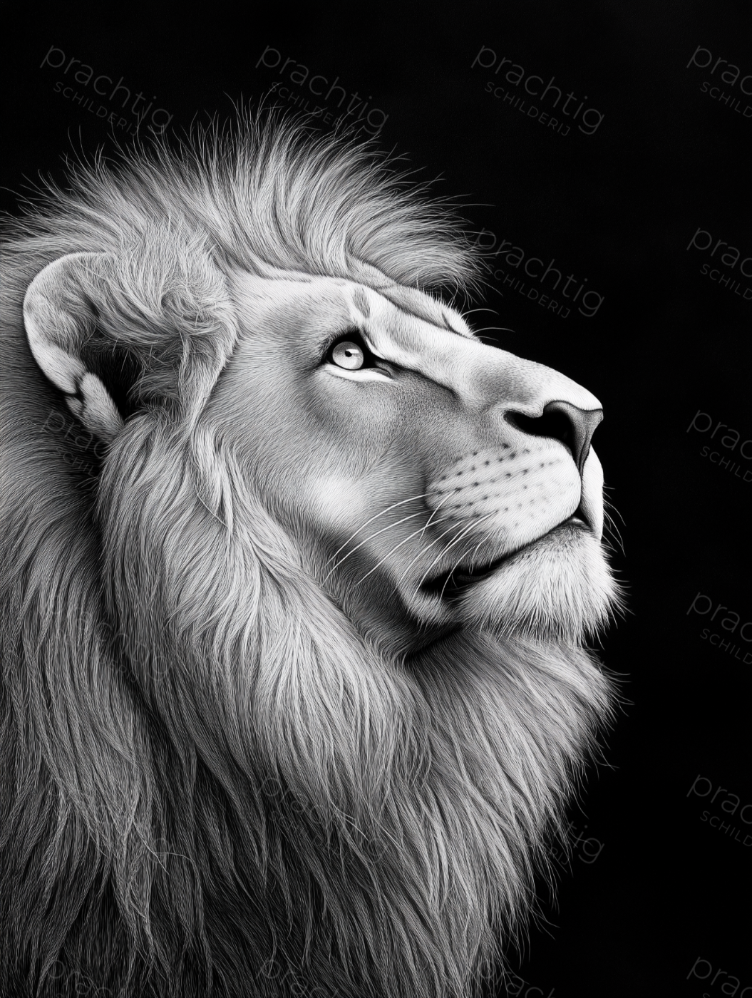 Majestueuze Leeuw in Zwart-Wit