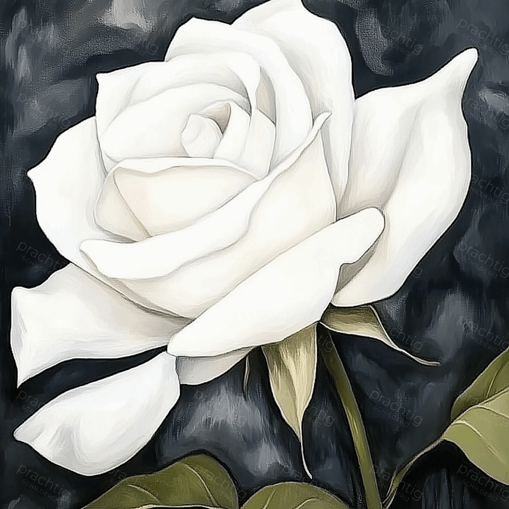 Witte roos tegen donkere achtergrond