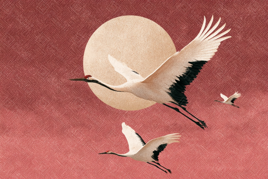 Vliegende kraanvogels bij zonsondergang