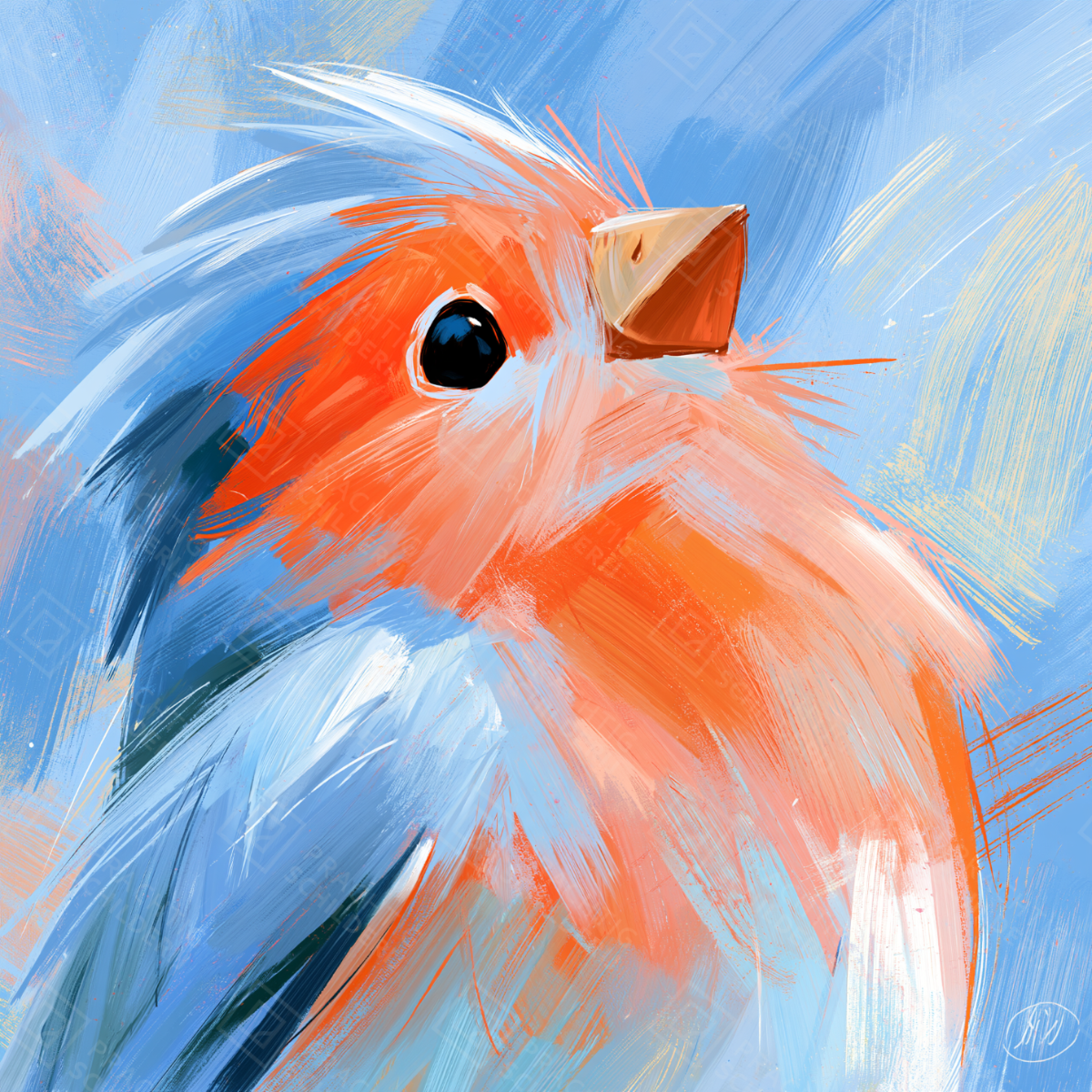 Stralende Blik van de Vogel